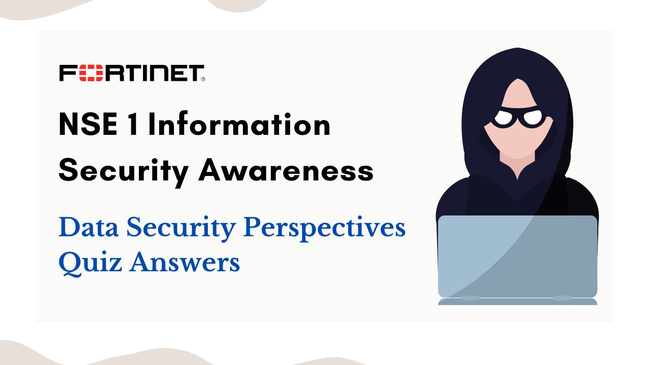 Data Security Perspectives Quiz Answers